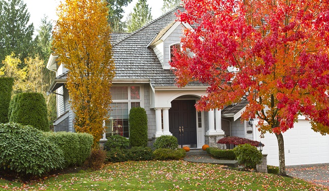 Shot of urban modern home during fall season